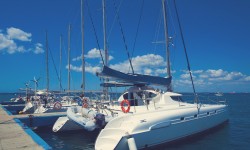 In faucibus